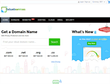 Tablet Screenshot of domain.bdwebservices.com
